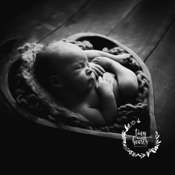 Tiny Hearts Photography - Session Photography Near Me - Franklin Lakes, New Jersey Tiny Hearts Photography - Session Photography Near Me - Franklin Lakes, New Jersey