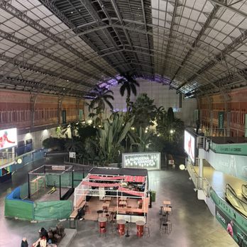 Estación de Madrid Atocha - Love the plants - Train Stations Near Me - Madrid, M Estación de Madrid Atocha - Love the plants - Train Stations Near Me - Madrid, M