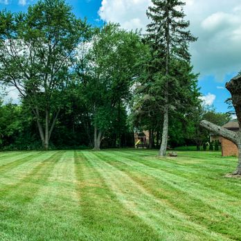 Jonny G Lawn Care - a large lawn with a tree in the foreground - Lawn Services Near Me Jonny G Lawn Care - a large lawn with a tree in the foreground - Lawn Services Near Me