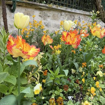 Jardins et Maison de Claude Monet - Museums Near Me - Giverny, 27