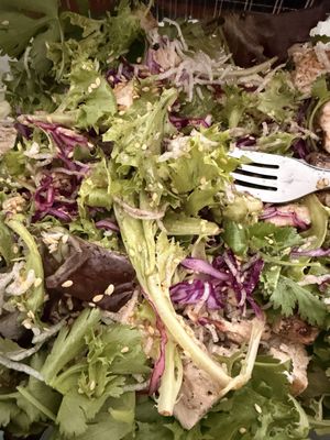 Healthyca Foods by null