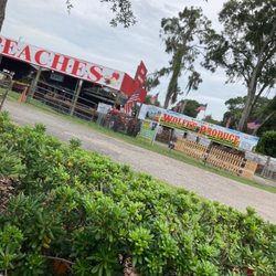 Wolfe's Produce