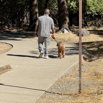 Sit Happens Dog Training - Pet Training Near Me Sit Happens Dog Training - Pet Training Near Me
