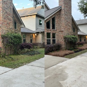 Pine Straw Texas - Landscaping Near Me Pine Straw Texas - Landscaping Near Me