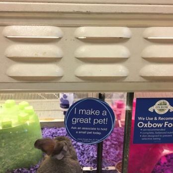 PetSmart - Pet Training Near Me - Mesa, Arizona