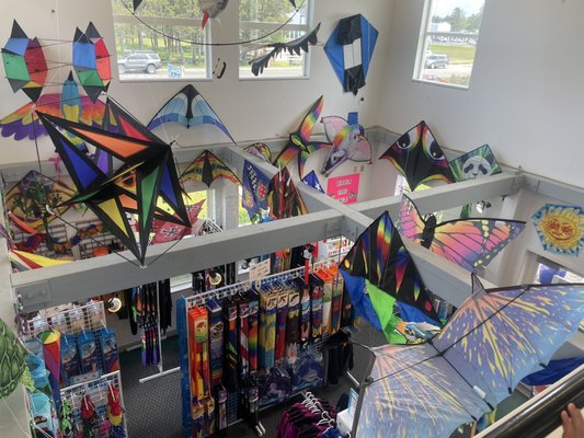 World Kite Museum & Hall-Fame by null