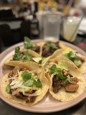 Chicatana by null Chicatana by null