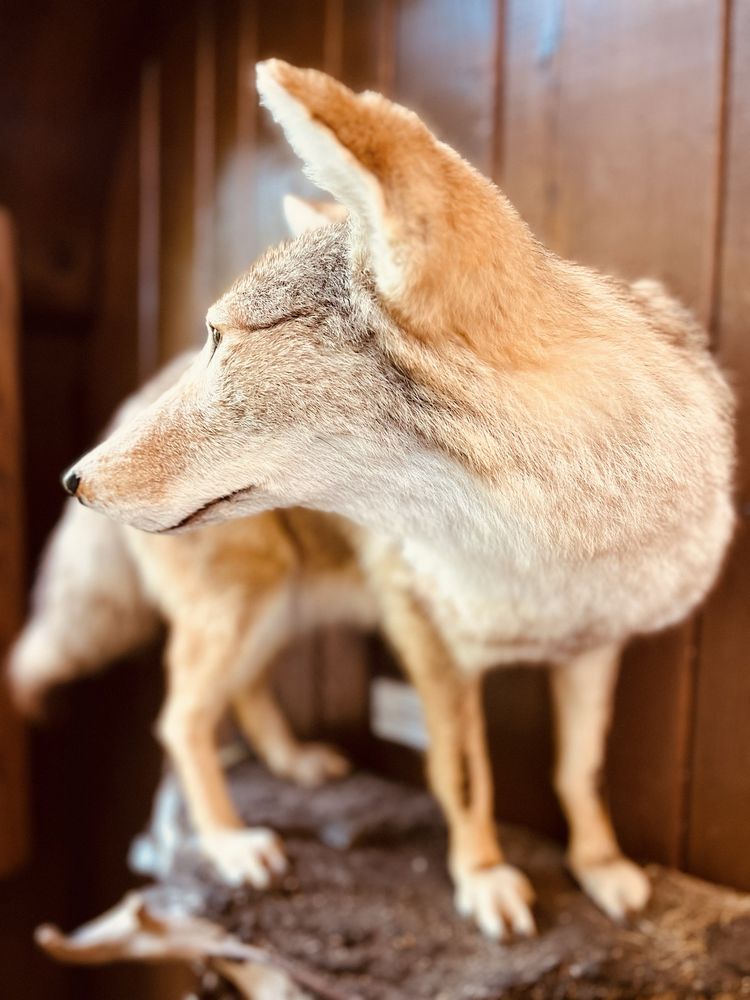 Brecksville Reservation