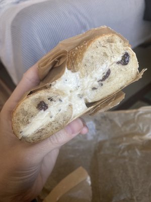 Bagelsaurus by null