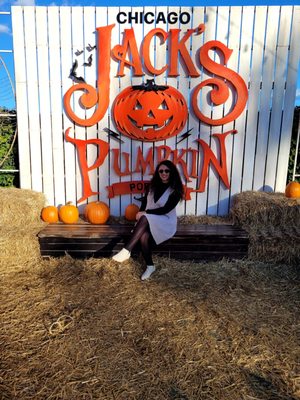 Jack's Pumpkin Pop-up by null
