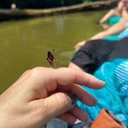 Foothills Outdoor Adventures - Sweet little butterfly on my friends hand.