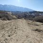 Photo of Sego Lily Trail