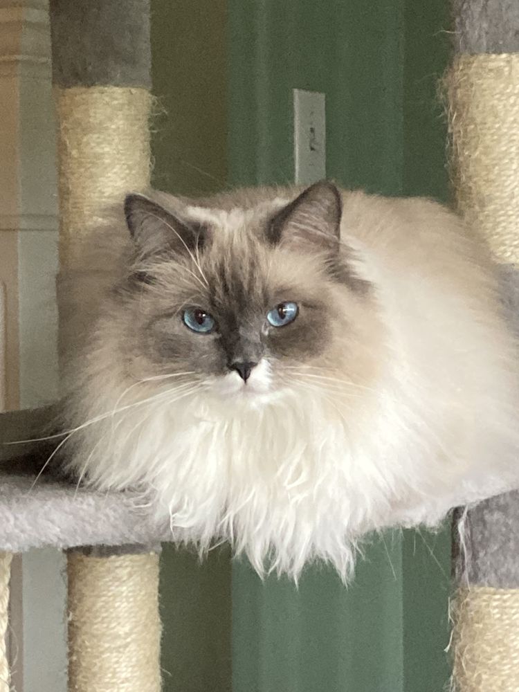 VAN PET FOOD, SUPPLIES & GROOMING Updated October 2024 11 Photos