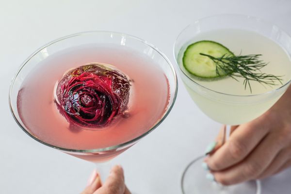 Butcher & Rose by null