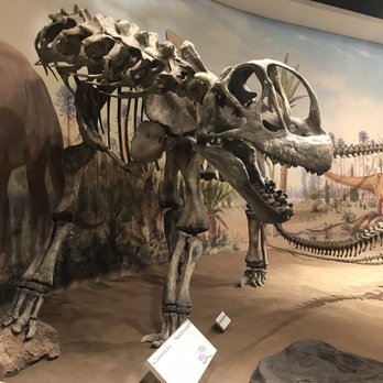 Royal Tyrrell Museum - Museums Near Me - Drumheller, Alberta Royal Tyrrell Museum - Museums Near Me - Drumheller, Alberta