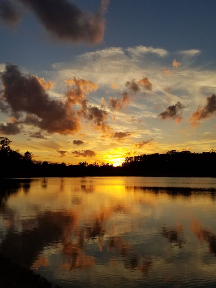 Cypress Park Image