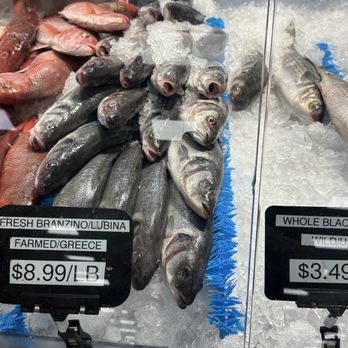 Broward Meat & Fish - Grocery Near Me - Pembroke Pines, Florida Broward Meat & Fish - Grocery Near Me - Pembroke Pines, Florida