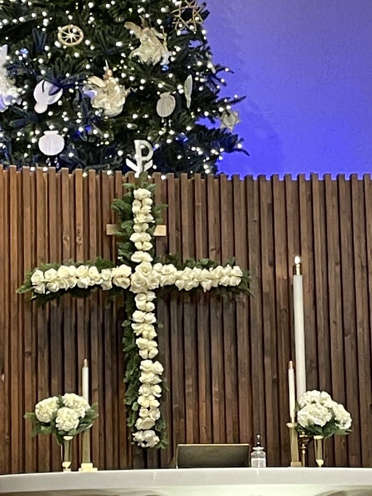 COLORADO SPRINGS WHOLESALE FLORIST Updated August 2024 10 Photos