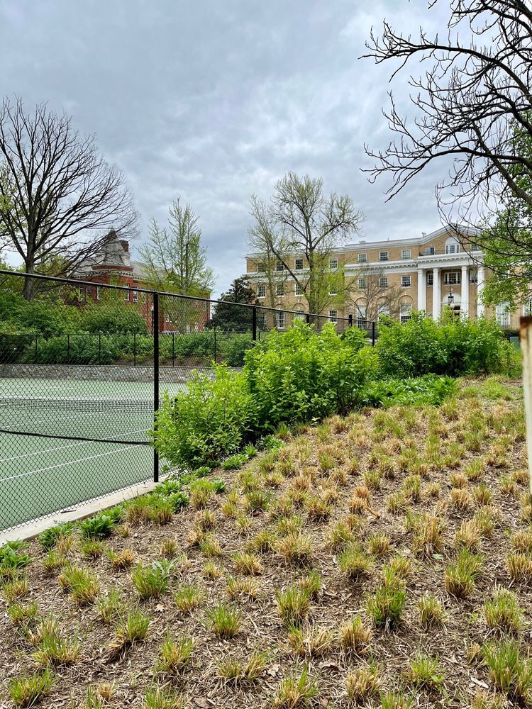 MONTROSE PARK Updated September 2024 37 Photos & 23 Reviews R St