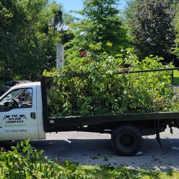 Major Sanitation Solutions - One load - Junk Removal & Hauling Near Me Major Sanitation Solutions - One load - Junk Removal & Hauling Near Me