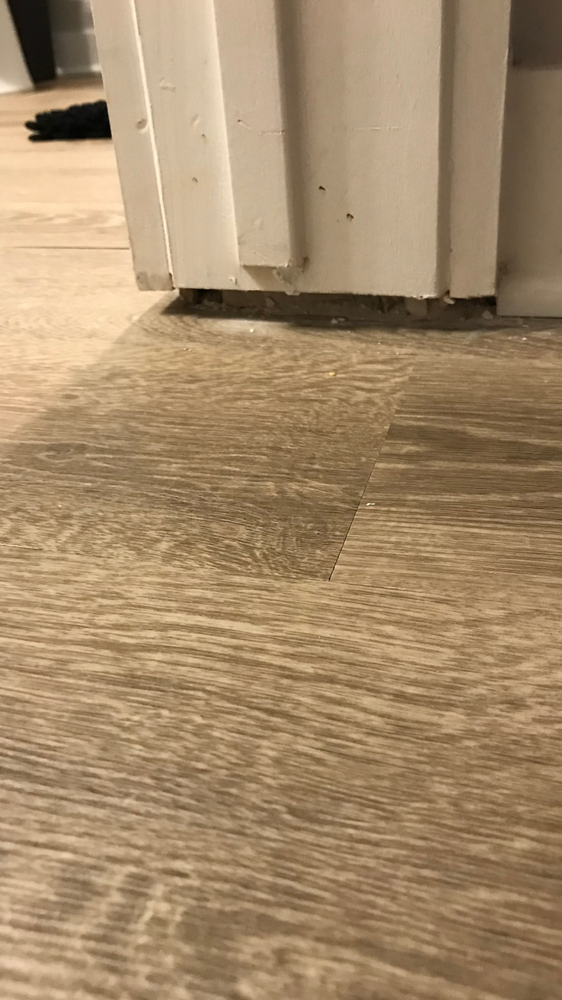 MURPHY’S FARM APARTMENTS Updated September 2024 Request Information