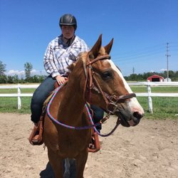 Equestrian Dreams - Our old man