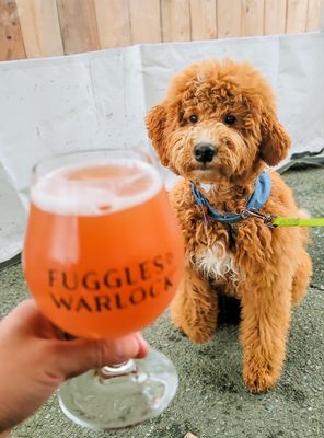Fuggles Beer Co. by null