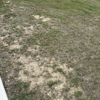 Adams Lawn & Landscape - Landscaping Near Me