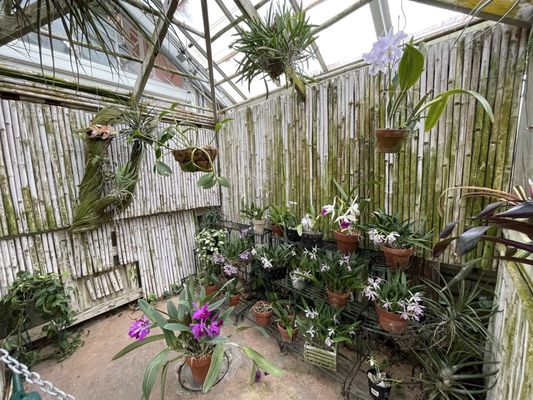 New Orleans Botanical Garden by null