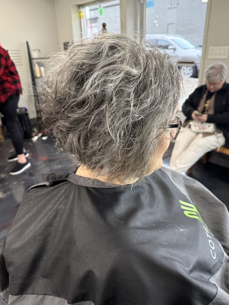 The Haircut Place Logo