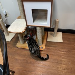 Cat Zen Cafe and Lounge