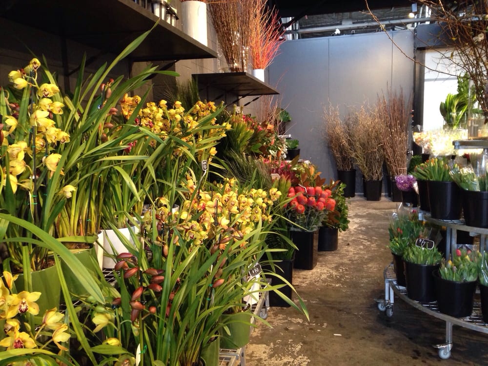 FLOWERS BY VAN GOGH Updated April 2024 5 Mayston St, Hawthorn East