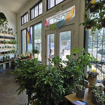 Plant Shoppe - Nurseries & Gardening Near Me - San Antonio, Texas Plant Shoppe - Nurseries & Gardening Near Me - San Antonio, Texas