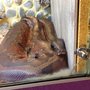 Photo of Le Reptilarium du Larzac