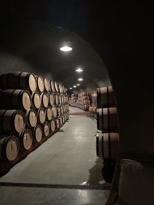 B Cellars by null