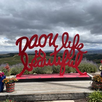 DAOU Vineyards - Wineries Near Me - Paso Robles, California DAOU Vineyards - Wineries Near Me - Paso Robles, California