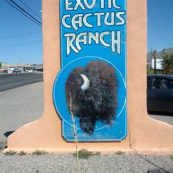 Buffalo Bill's Exotic Cactus Ranch