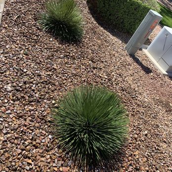 Moon Valley Nurseries - Nurseries & Gardening Near Me - Chandler, Arizona Moon Valley Nurseries - Nurseries & Gardening Near Me - Chandler, Arizona