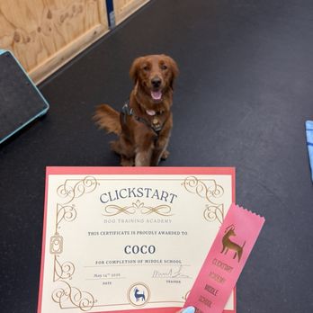 Clickstart Dog Training Academy - Pet Training Near Me - Lake Forest, California
