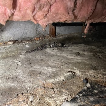 24/7 Flood & Fire - Cleaned area with enzymes laid down. - General Contractors Near Me - Auburn, Washington 24/7 Flood & Fire - Cleaned area with enzymes laid down. - General Contractors Near Me - Auburn, Washington