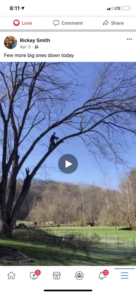 Smith 5 - tree service in Milton, WV