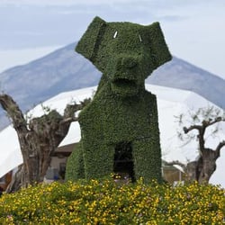 Foof  Museo del Cane - Foof Museo del Cane