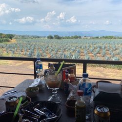 Jarritos la Puerta del Agave - Agave field right outside!