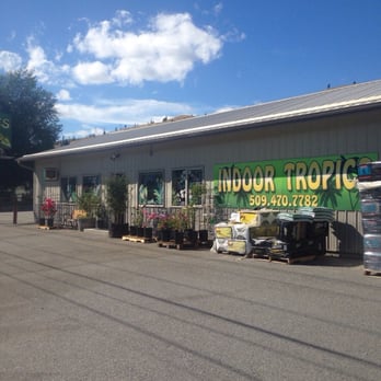 Indoor Tropics - Store front cashmere location - Nurseries & Gardening Near Me - Cashmere, Washington Indoor Tropics - Store front cashmere location - Nurseries & Gardening Near Me - Cashmere, Washington