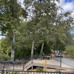 Moore's Tree Service & Stump Grinding - The clean up is great