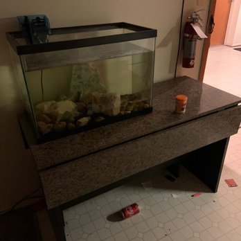Royal Movers - This is my kitchen table and fish tank and fish the only heavy things they had to bring and didn't now my fish is dead and no table - Movers Near Me - Wyandotte, Michigan Royal Movers - This is my kitchen table and fish tank and fish the only heavy things they had to bring and didn't now my fish is dead and no table - Movers Near Me - Wyandotte, Michigan