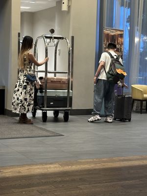 Hyatt Regency Bloomington - Minneapolis by null