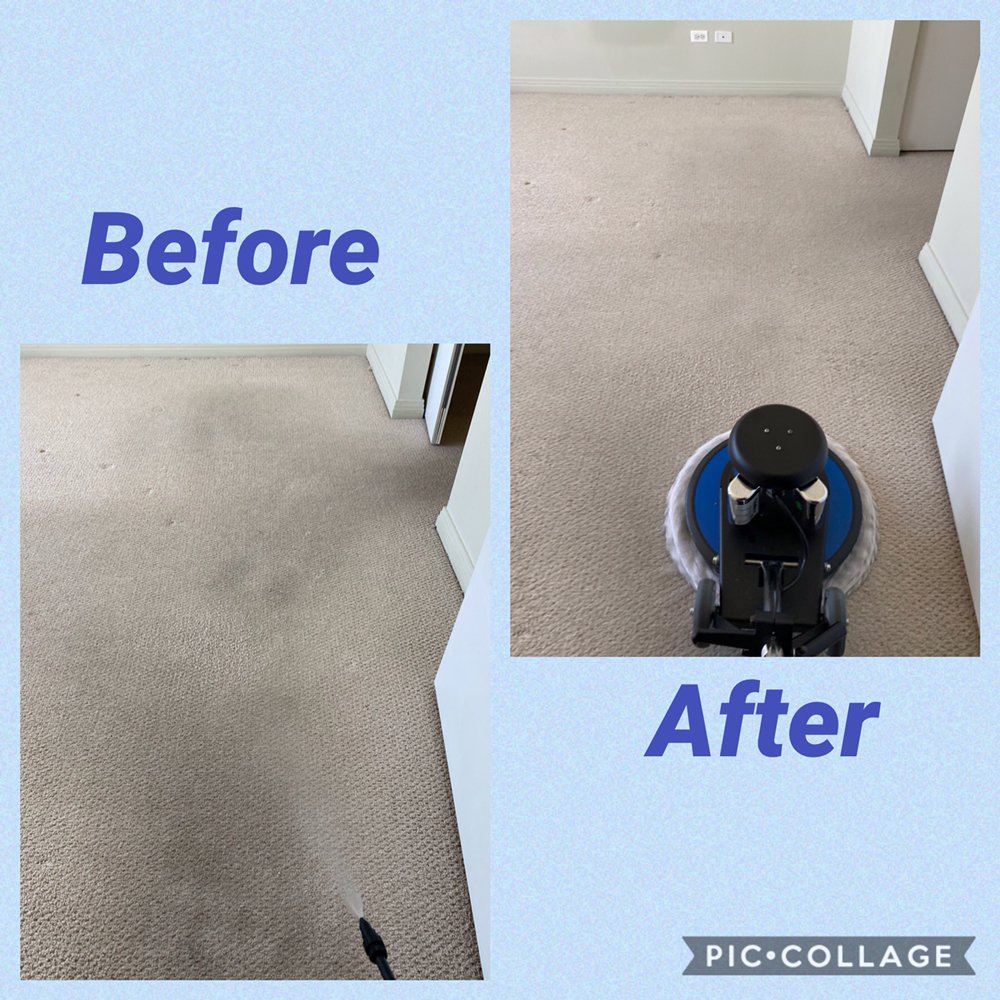 APOLLO CARPET & UPHOLSTERY CLEANING SERVICES Updated July 2024 178