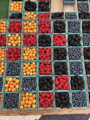 Sherman Oaks Farmers Market by null