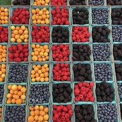 Sherman Oaks Farmers Market